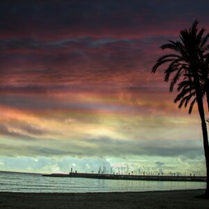 IMG_3040_pe-1