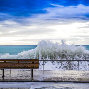 50 X 70 IMG_9919